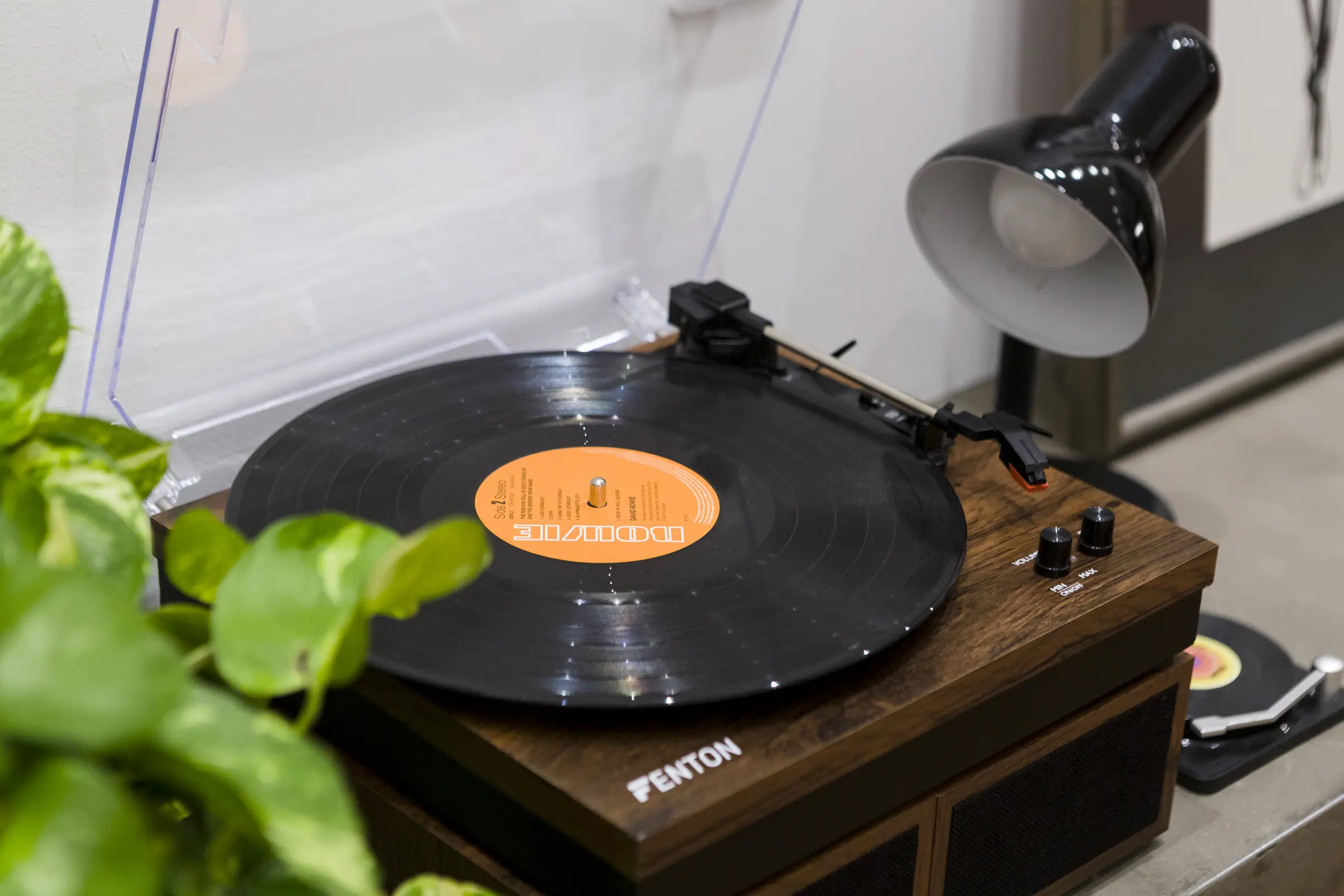 Tocadiscos junto a una planta