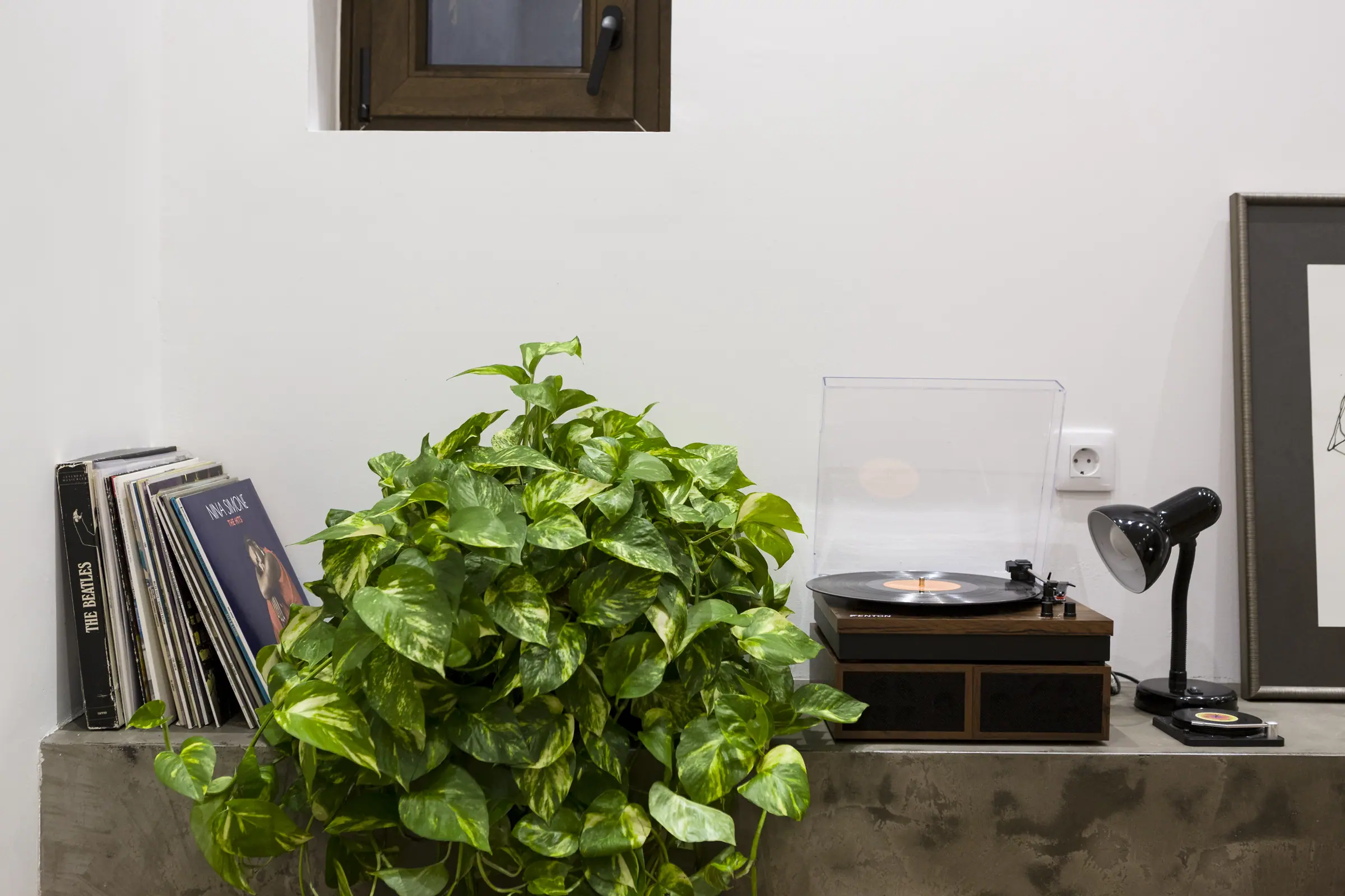 Vinilos, planta y tocadiscos sobre el banco de hormigón